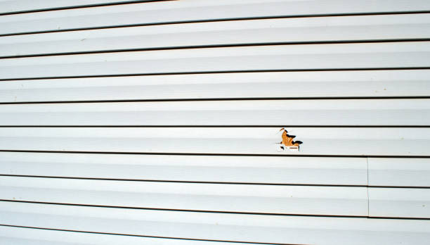 Best James Hardie Siding  in K I Sawyer, MI